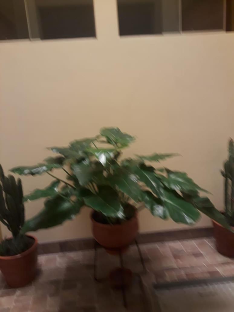 El Marquez Otel Tacna Dış mekan fotoğraf